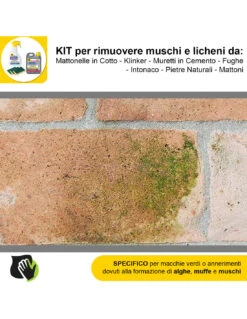 FILA ALGAENET ML.500 + FILA HYDROREP ECO LT.1 + Spugne Abrasive Per Rimuovere Muschi E Licheni -Vendite Masterbrico algaenet 500ml hydrorep eco 1lt spugne abrasive per rimuovere muschi e licheni 2