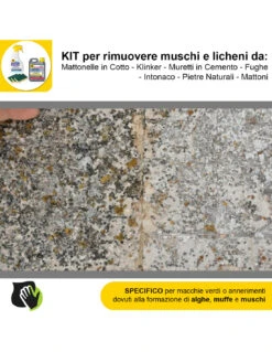FILA ALGAENET ML.500 + FILA HYDROREP ECO LT.1 + Spugne Abrasive Per Rimuovere Muschi E Licheni -Vendite Masterbrico algaenet 500ml hydrorep eco 1lt spugne abrasive per rimuovere muschi e licheni 3