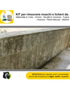 FILA ALGAENET ML.500 + FILA HYDROREP ECO LT.1 + Spugne Abrasive Per Rimuovere Muschi E Licheni -Vendite Masterbrico algaenet 500ml hydrorep eco 1lt spugne abrasive per rimuovere muschi e licheni 5