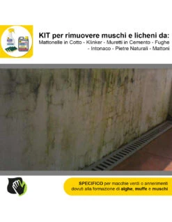 FILA ALGAENET ML.500 + FILA HYDROREP ECO LT.1 + Spugne Abrasive Per Rimuovere Muschi E Licheni -Vendite Masterbrico algaenet 500ml hydrorep eco 1lt spugne abrasive per rimuovere muschi e licheni 6