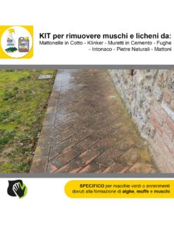 FILA ALGAENET ML.500 + FILA HYDROREP ECO LT.1 + Spugne Abrasive Per Rimuovere Muschi E Licheni -Vendite Masterbrico algaenet 500ml hydrorep eco 1lt spugne abrasive per rimuovere muschi e licheni 7