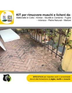 FILA ALGAENET ML.500 + FILA HYDROREP ECO LT.1 + Spugne Abrasive Per Rimuovere Muschi E Licheni -Vendite Masterbrico algaenet 500ml hydrorep eco 1lt spugne abrasive per rimuovere muschi e licheni 8