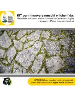 FILA ALGAENET ML.500 + FILA HYDROREP ECO LT.1 + Spugne Abrasive Per Rimuovere Muschi E Licheni -Vendite Masterbrico algaenet 500ml hydrorep eco 1lt spugne abrasive per rimuovere muschi e licheni 9