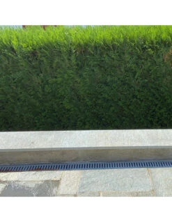 Canaletta Di Scolo Acqua Carrabile In PP-PE Con Griglia Zincata 125x50 Kit 3 Pz -Vendite Masterbrico canaletta di scolo acqua carrabile in pp pe con griglia zincata 125x50 kit 3 pz 8