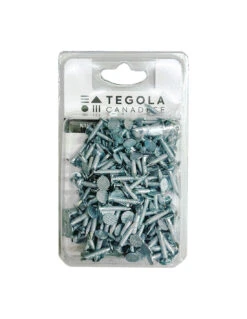 Chiodi Zincati Per Tegola Canadese 3,0x20 - Confezione Da 200 Pezzi