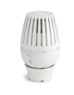 Giacomini - Regolatore Di Pressione R460